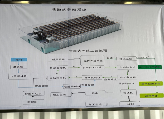 黑水虻处理